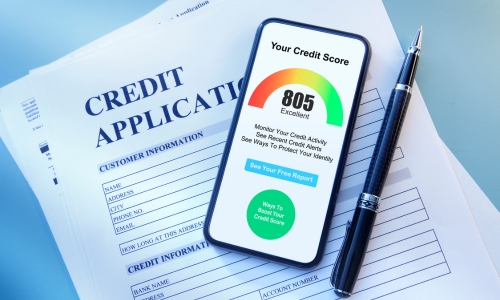 Cibil Report